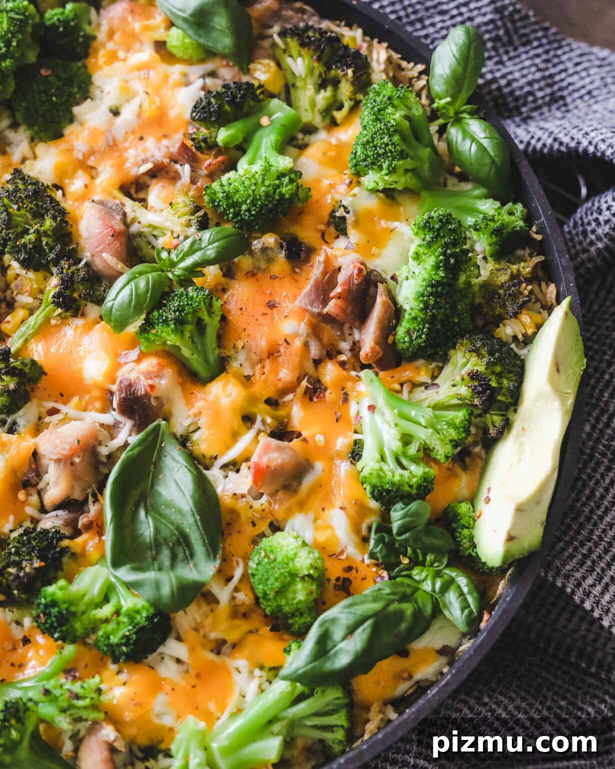 Cheesy Chicken, Broccoli and Rice Casserole 6 img 4355 5