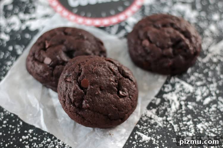 North Pole Coal Cookies with Free Printable Cookie Labels 3 two double chocolate cookies on parchment paper