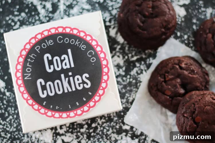 North Pole Coal Cookies with Free Printable Cookie Labels 5 coal cookies label on box and double chocolate coal cookies