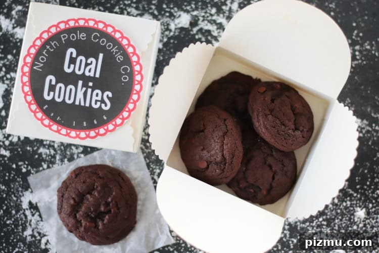 North Pole Coal Cookies with Free Printable Cookie Labels 7 coal cookies in cookie box