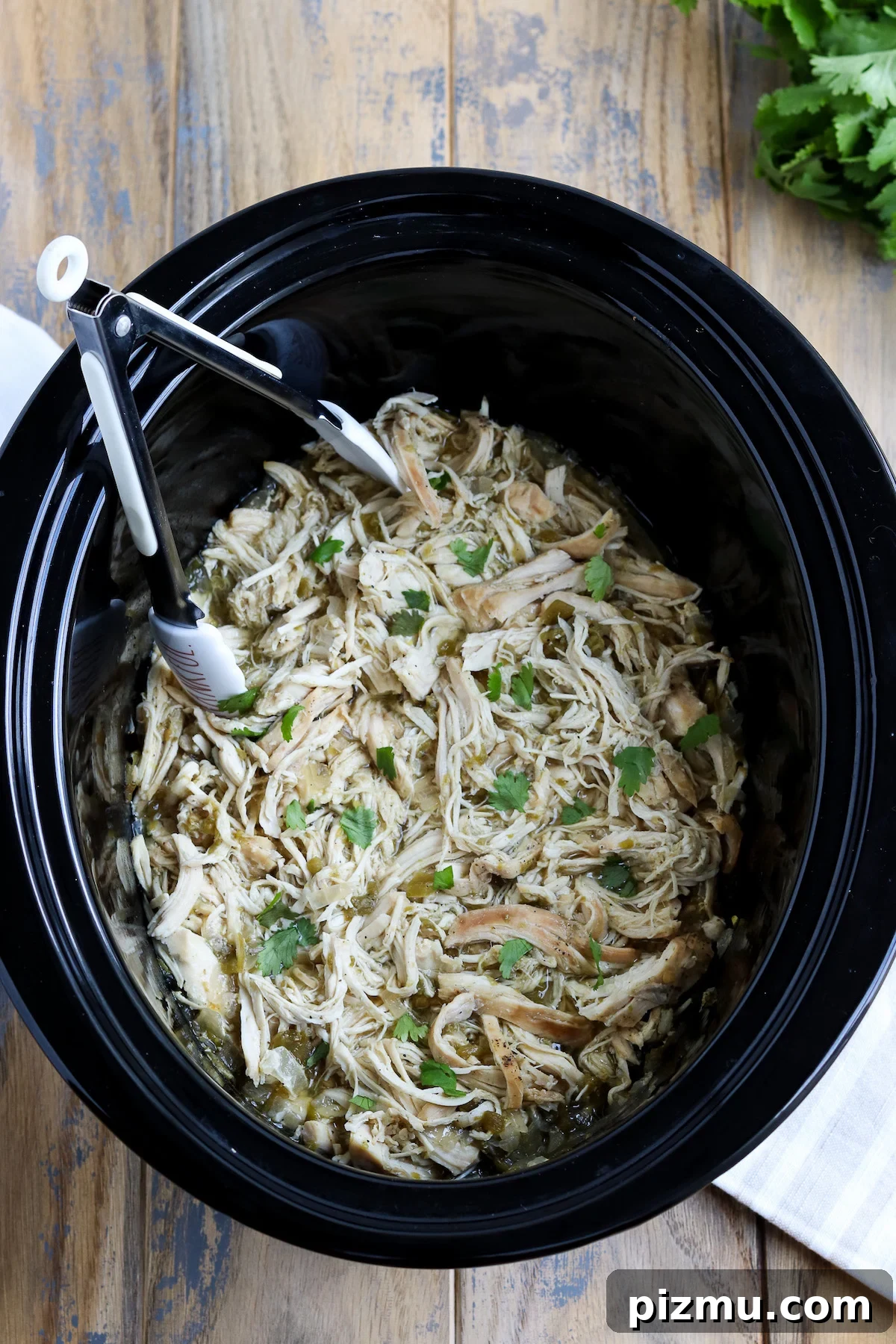 Slow Cooker Green Chile Chicken Recipe 2 img 4779 1