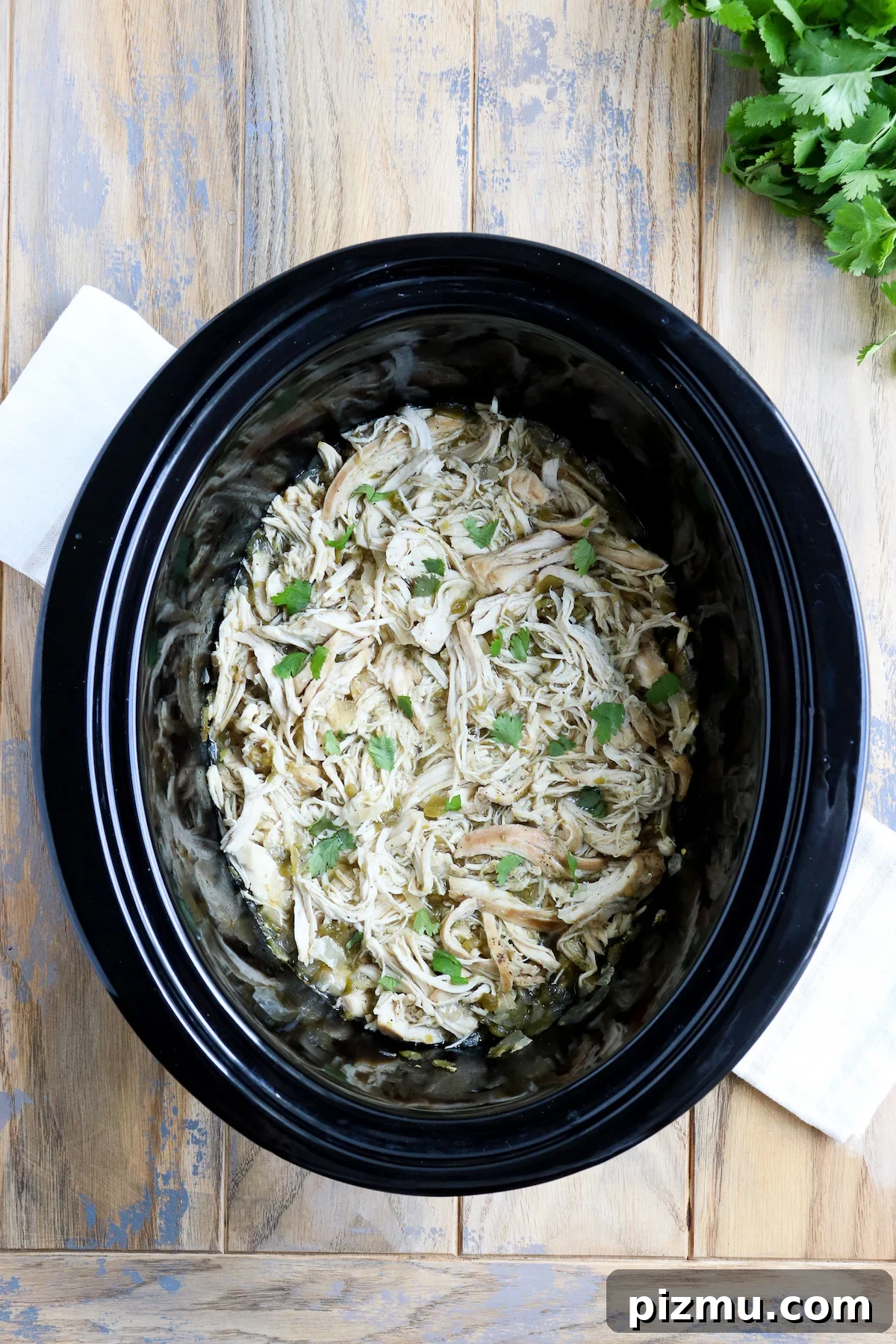 Slow Cooker Green Chile Chicken Recipe 4 img 4779 3