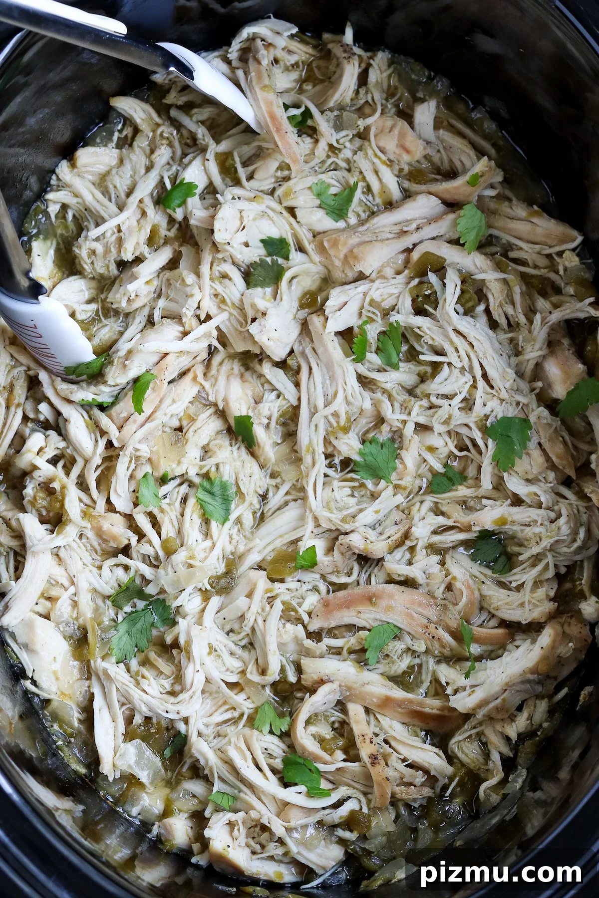 Slow Cooker Green Chile Chicken Recipe 5 closeup of shredded chicken with visible diced green chiles and cilantro garnish