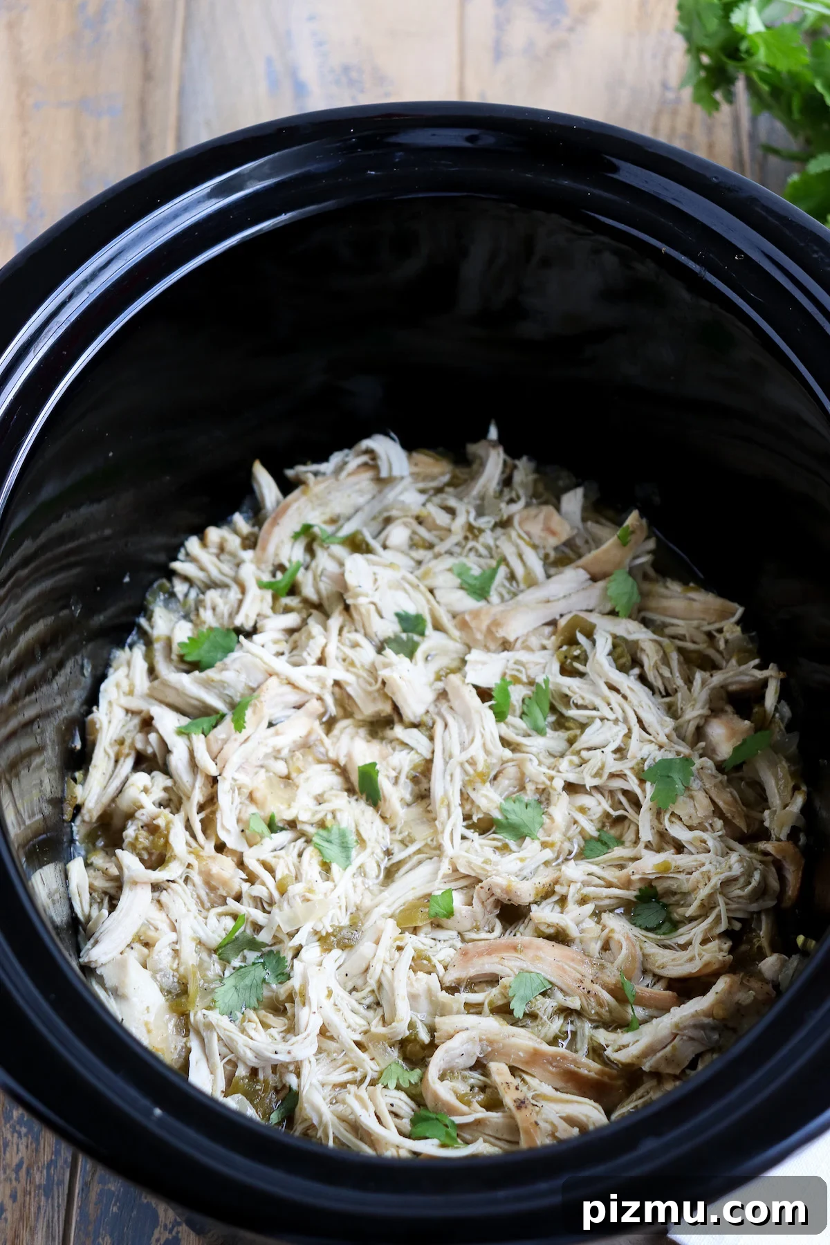 Slow Cooker Green Chile Chicken Recipe 7 img 4779 7