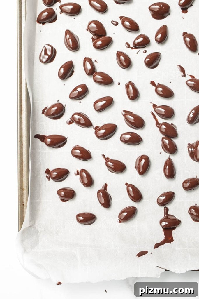 Homemade Chocolate Covered Almonds Recipe 4 img 5054 3