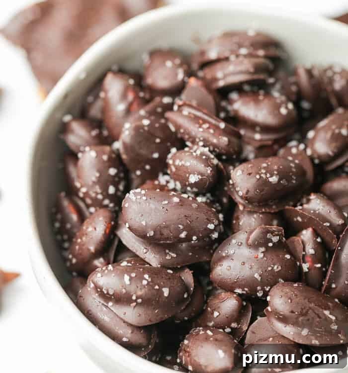 Homemade Chocolate Covered Almonds Recipe 6 img 5054 5