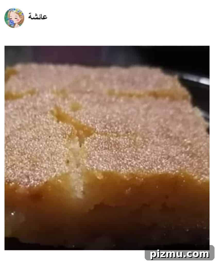 Basbousa: Classic Middle Eastern Semolina Cake with Syrup 14 A piece of food, with Basbousa