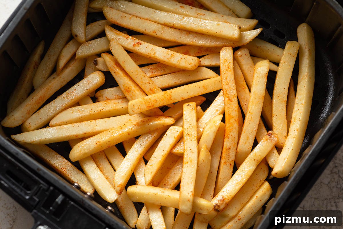 frozen french fries in the air fryer basket