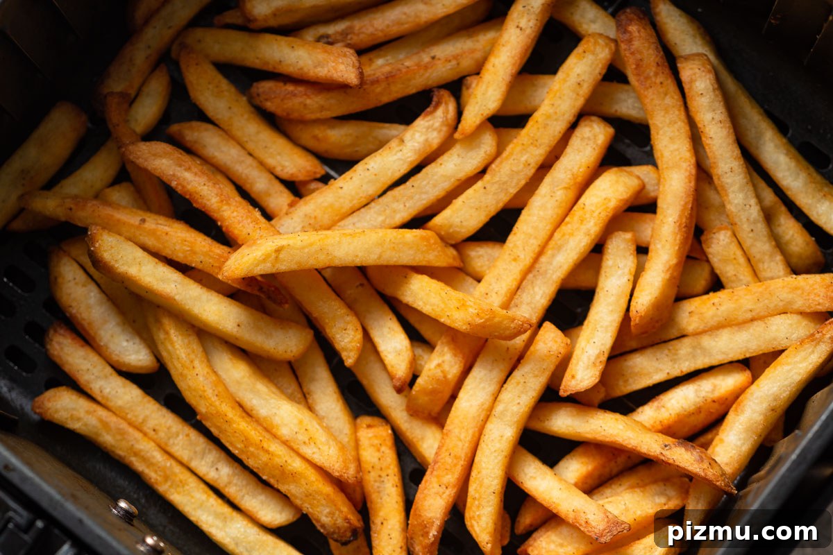 air fried french fries in the basket