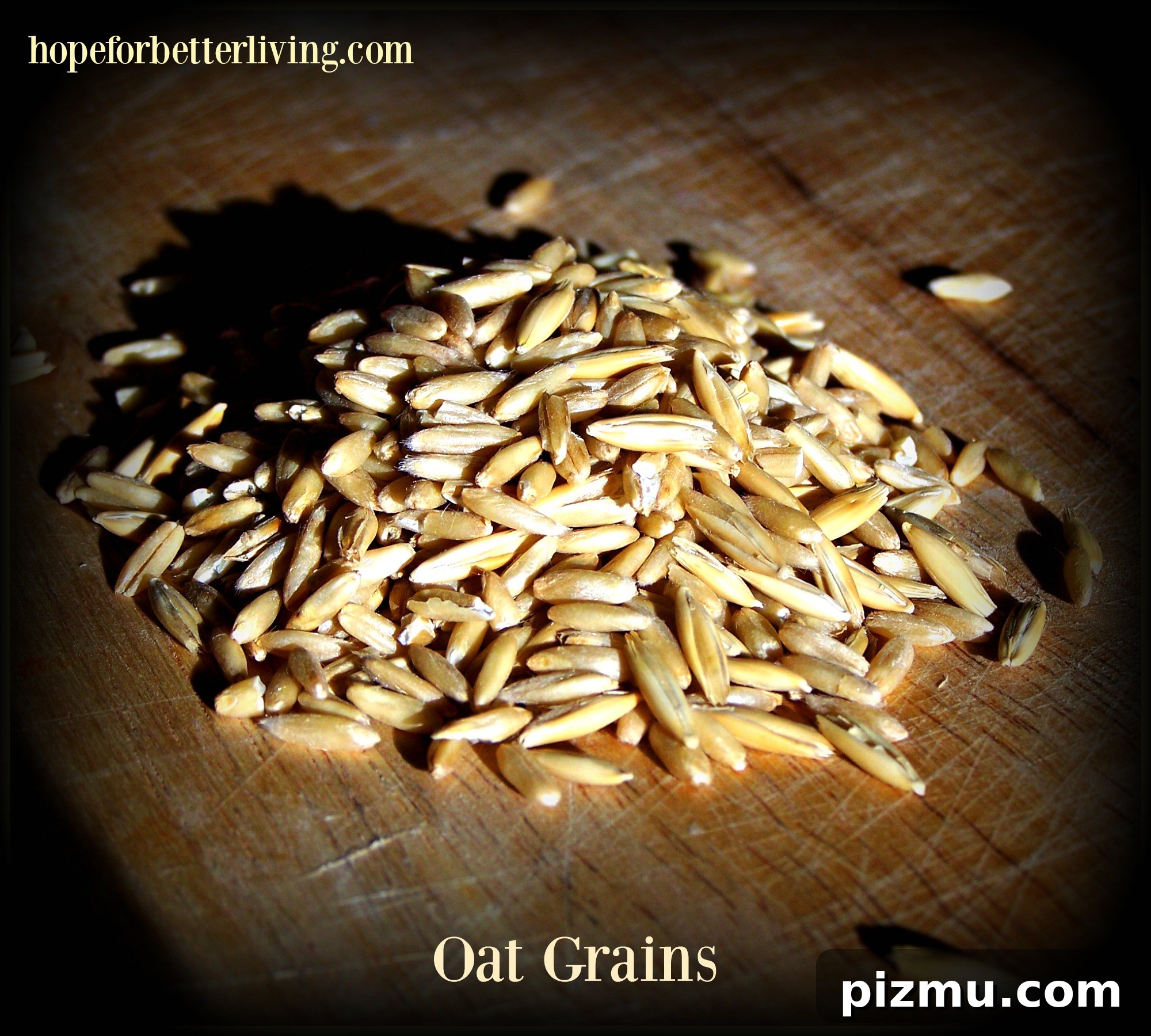 Rolling oats in your kitchen is a frugal way to add more nutrition to the kitchen!