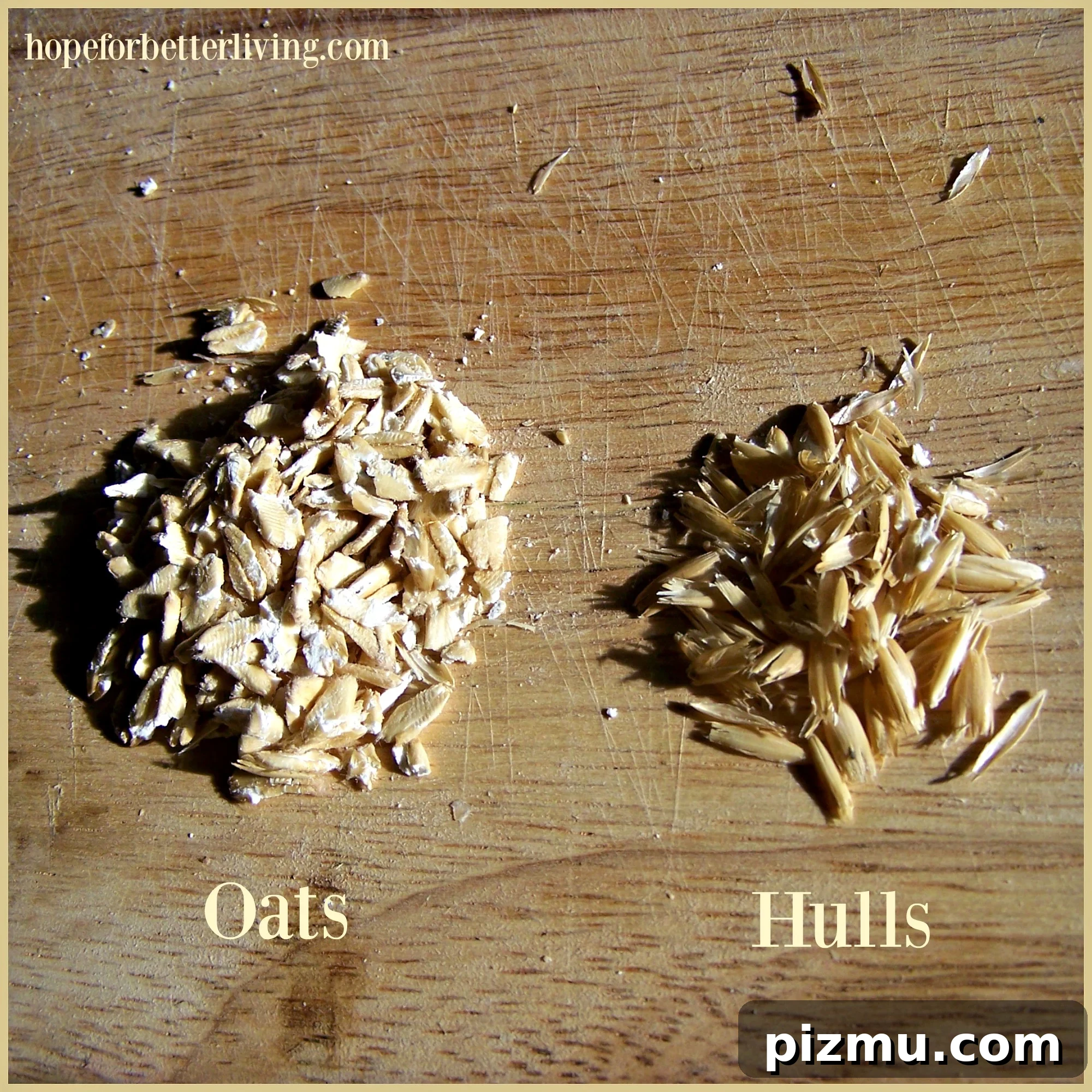 Oat and hulls