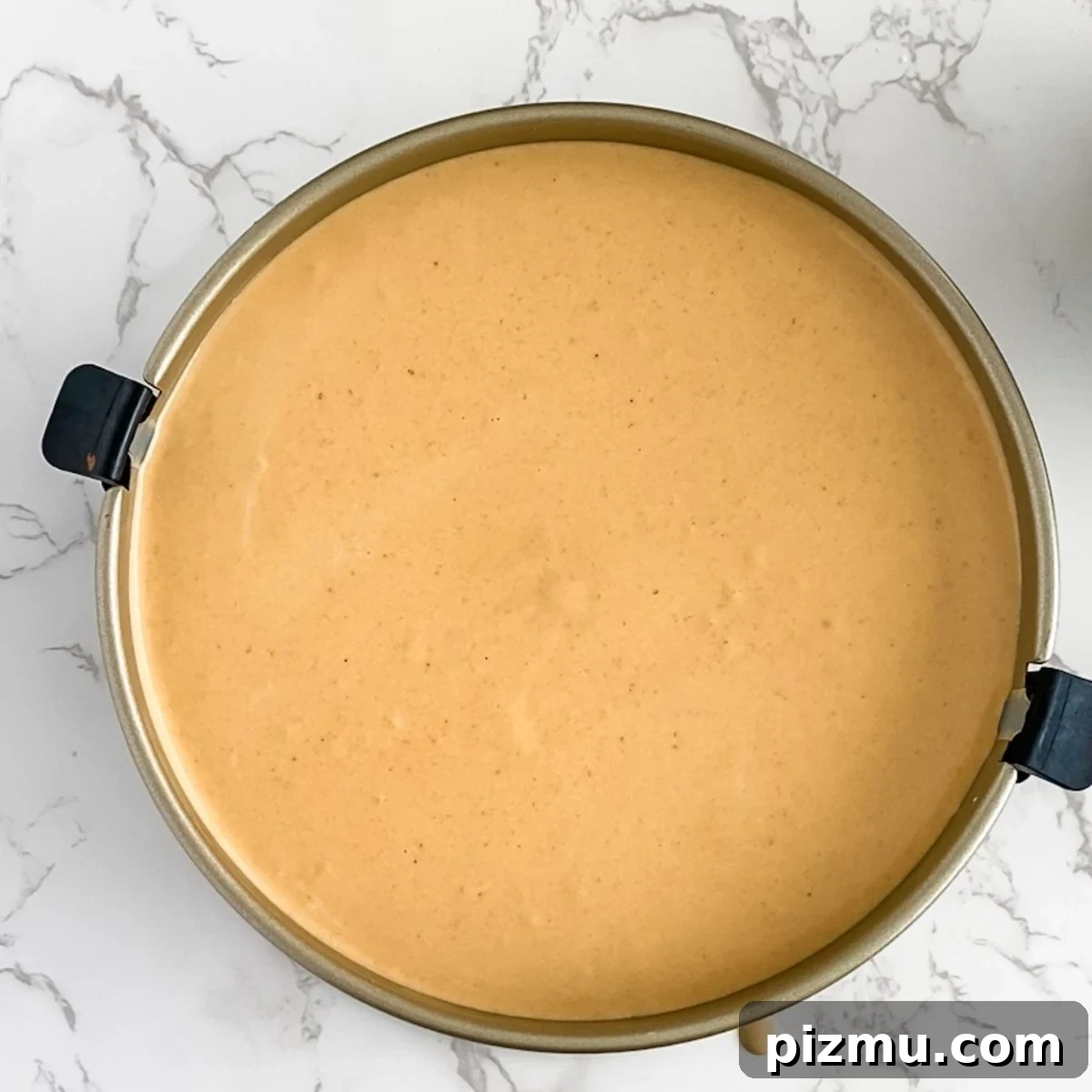 Paula Deen's Classic Pumpkin Cheesecake Recipe 9 pumpkin cheesecake filling in a springform pan.
