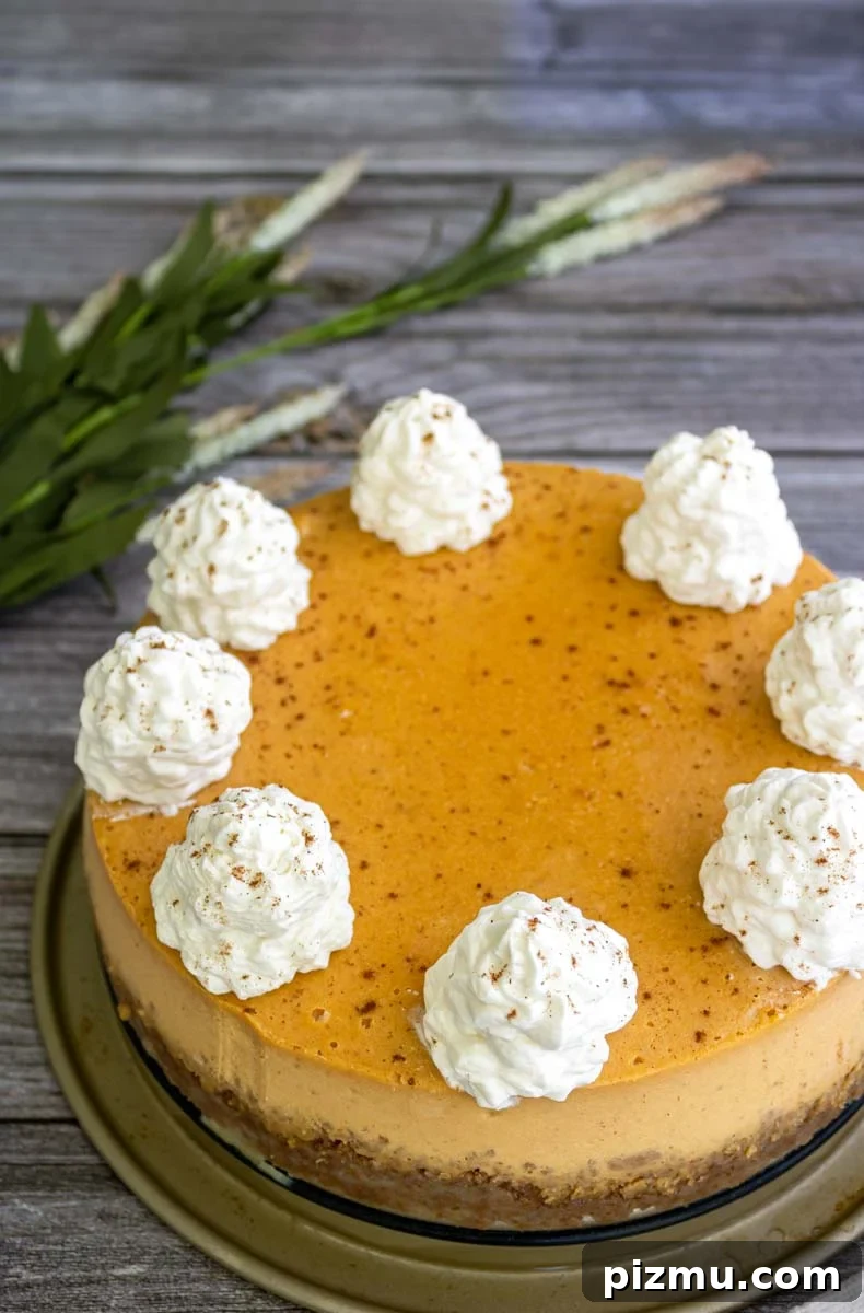 Paula Deen's Classic Pumpkin Cheesecake Recipe 10 Paula Deen pumpkin cheesecake on a table.