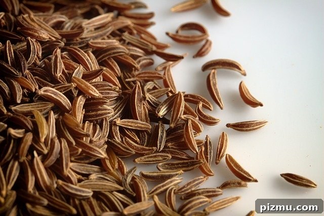 Extra-Light Rye Bread Recipe: Soft, Airy Loaf 4 Caraway Seeds