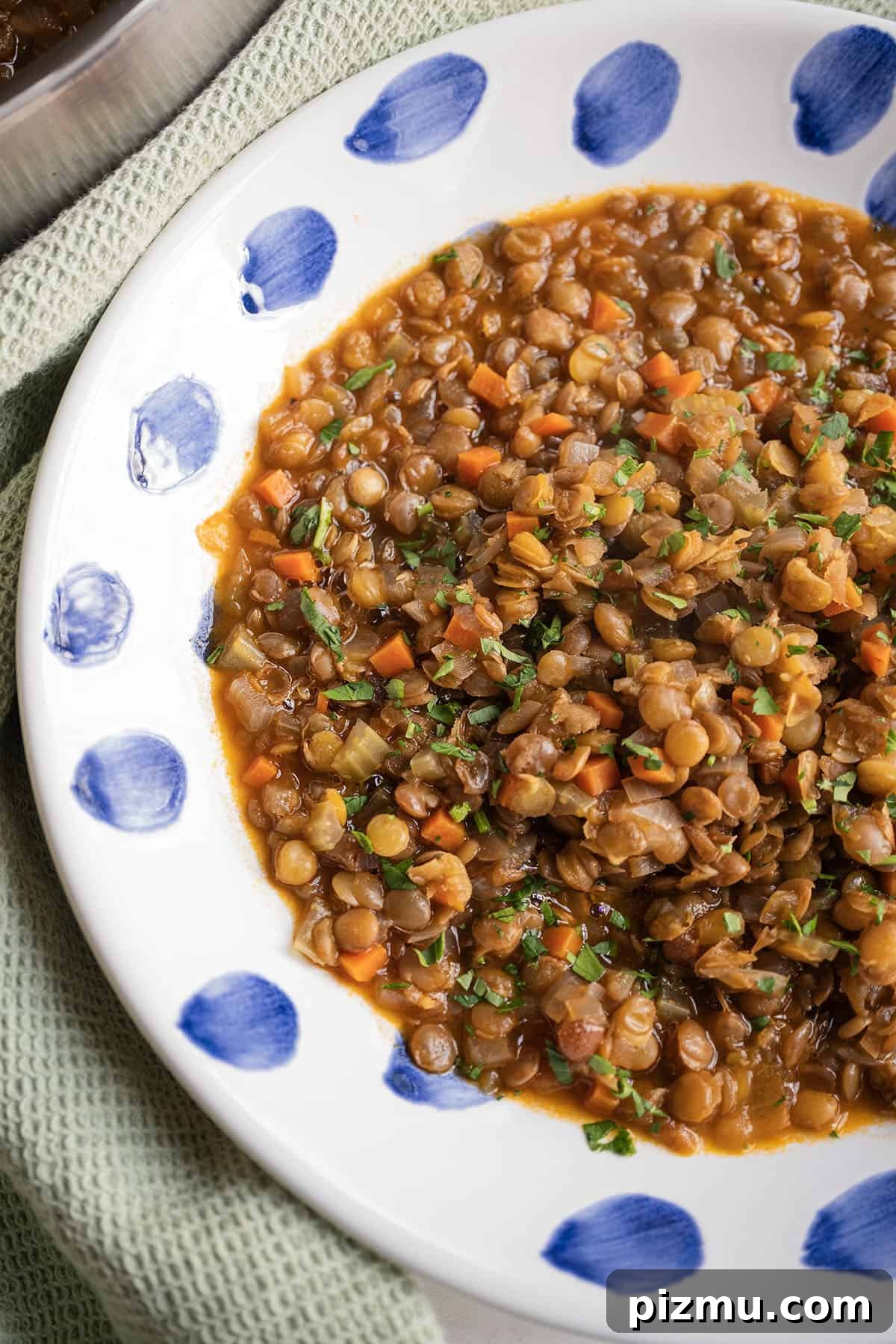 Classic Italian Lentils with Garlic and Rosemary 2 Cooked lentils in a bowl.