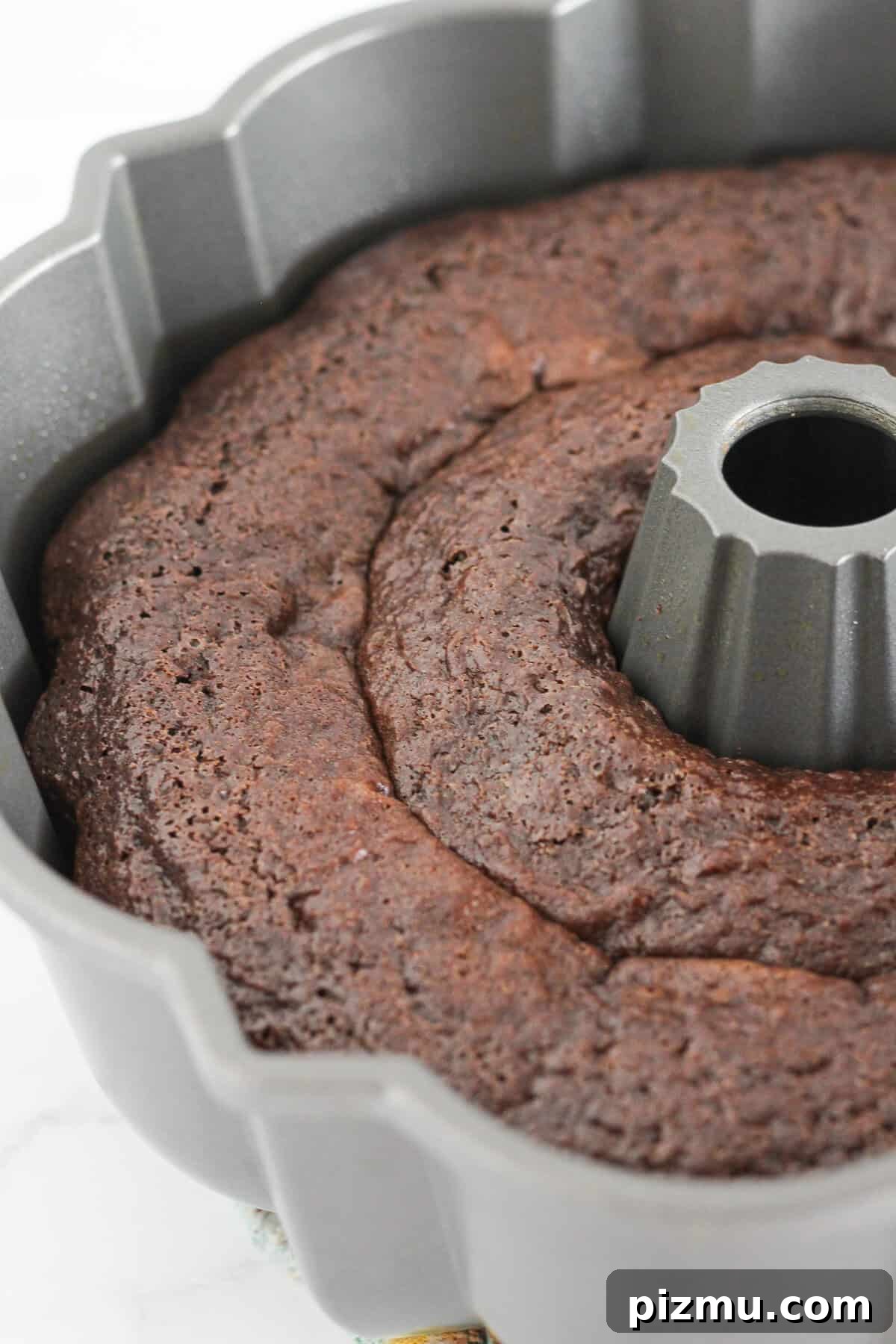 Moist Texas Sheet Cake Bundt: Chocolate Bundt Cake Recipe 6 A baked Texas Bundt Cake in the pan cooling.