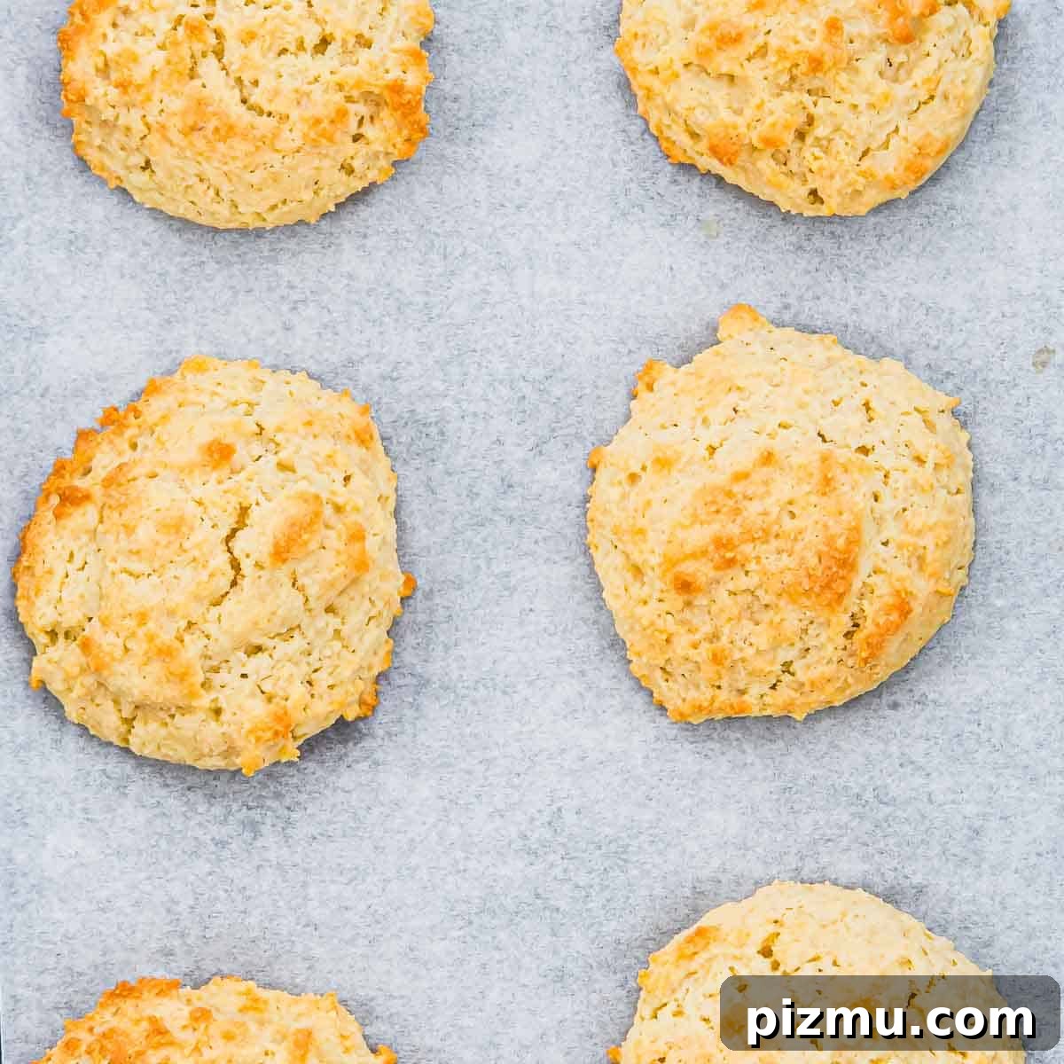 Flaky Almond Flour Biscuits Recipe 10 Six golden-brown almond flour drop biscuits are arranged on a sheet of parchment paper, spaced evenly apart, showing their rough, textured tops and slightly crisp edges.