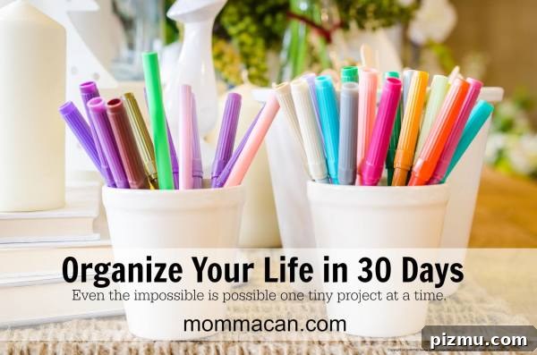 Colorful markers in white cups for organization and productivity.